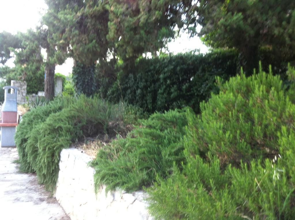 Apartments Casa Nostra Biograd Na Moru Zewnętrze zdjęcie